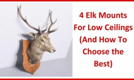 4 Elk Mounts For Low Ceilings (And How To Choose the Best)