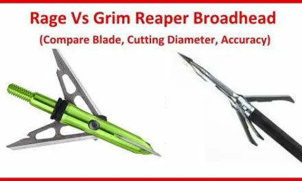 Rage Vs Grim Reaper Broadhead (Compare Blade, Cutting Diameter, Accuracy)