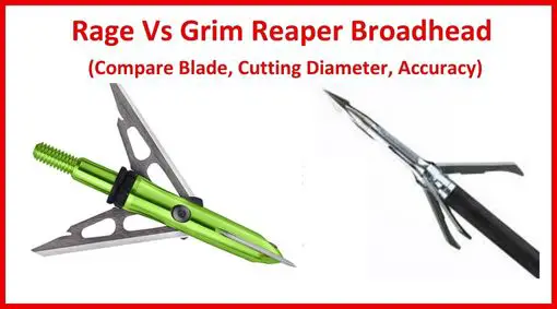 Rage Vs Grim Reaper Broadhead (Compare Blade, Cutting Diameter, Accuracy)
