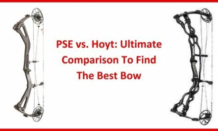 PSE vs. Hoyt: Ultimate Comparison To Find The Best Bow