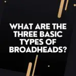 What Are The Three Basic Types Of Broadheads?Expert Report